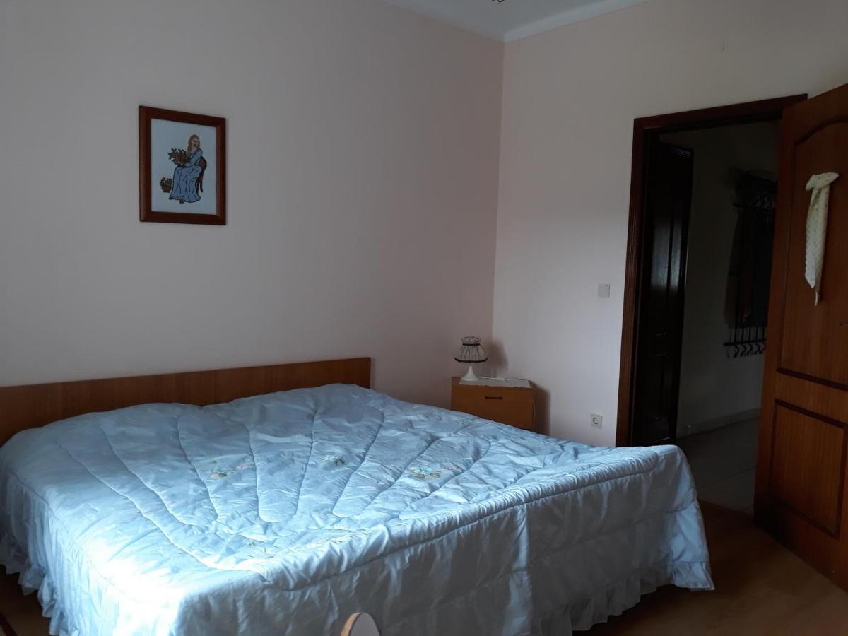 Cynda's Viseu